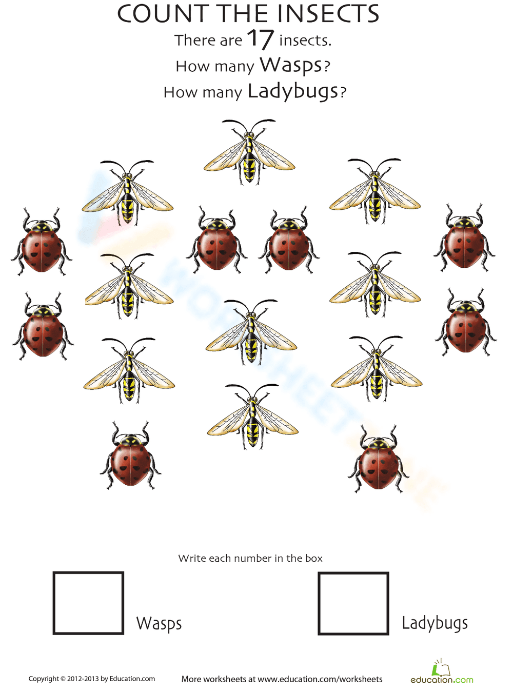 Insect Counting: Math and Nature Fun - Page 1