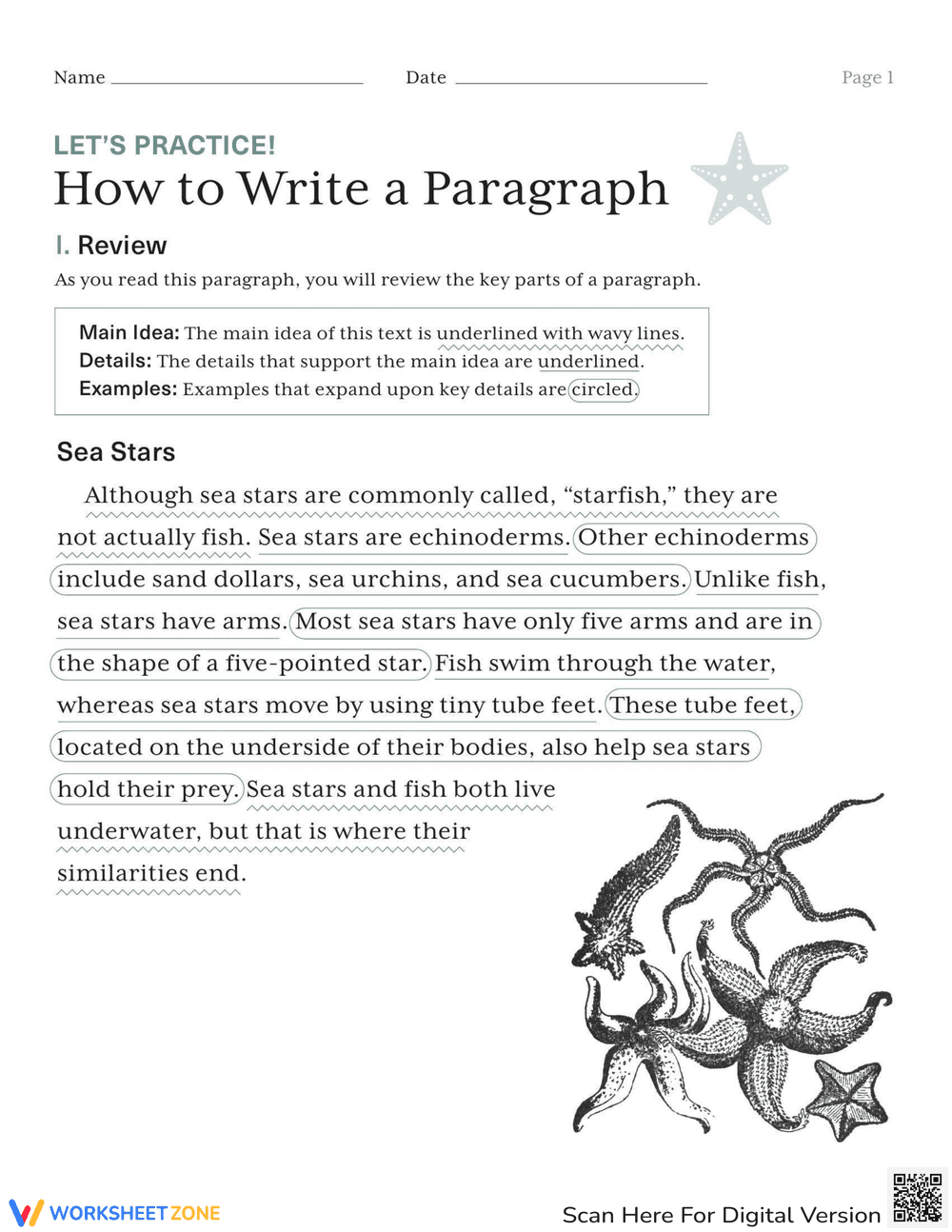 How to Write a Paragraph: Writing Skills Practice - Page 1