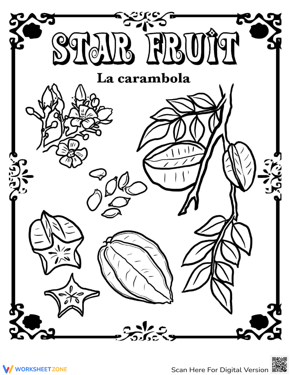Starfruit in Spanish - Page 1