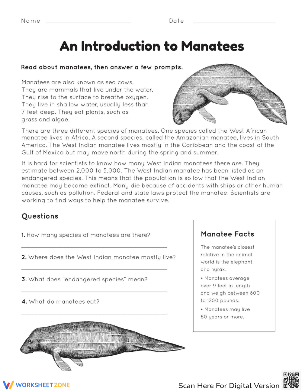 Discover Manatee Facts Worksheet - Page 1