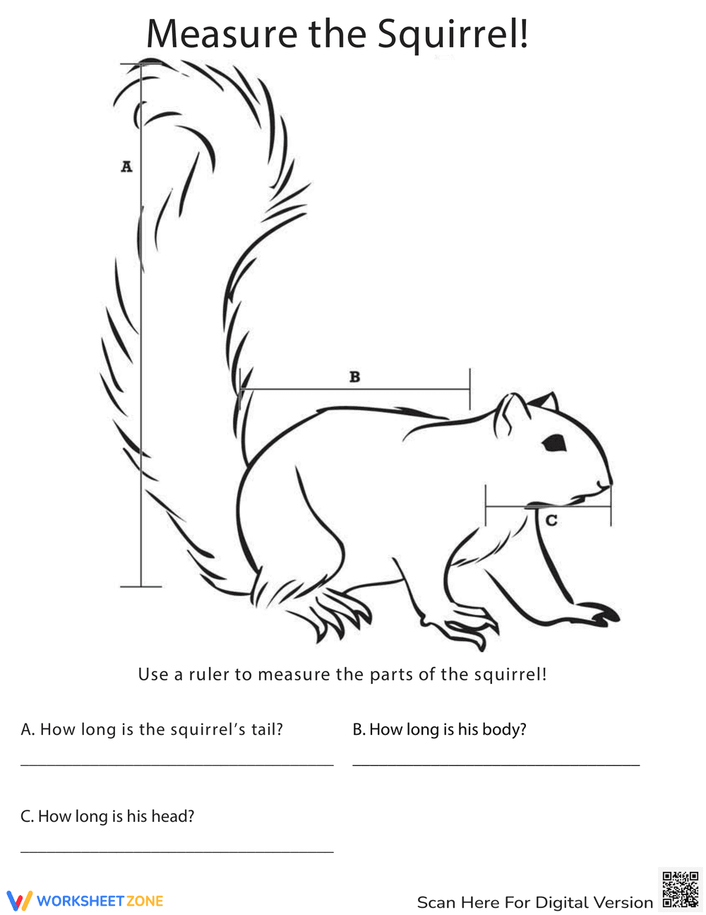 Measure Length Worksheet - Page 1