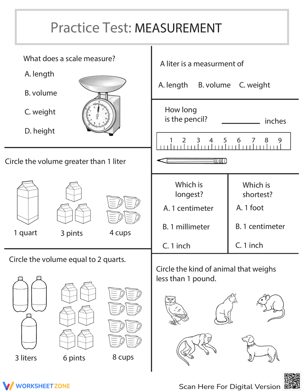 Practice Test: Measurement Worksheet - Page 1
