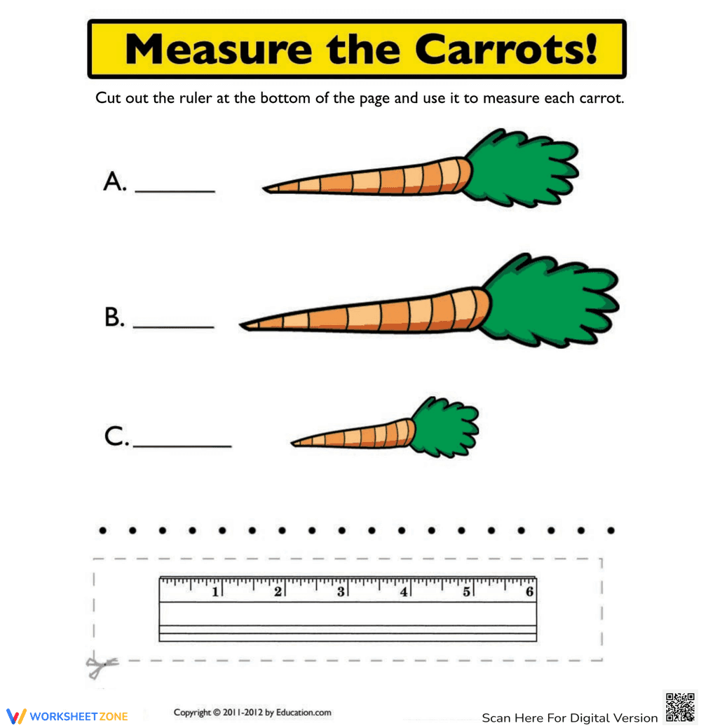 Ruler Measurements Worksheet - Page 1