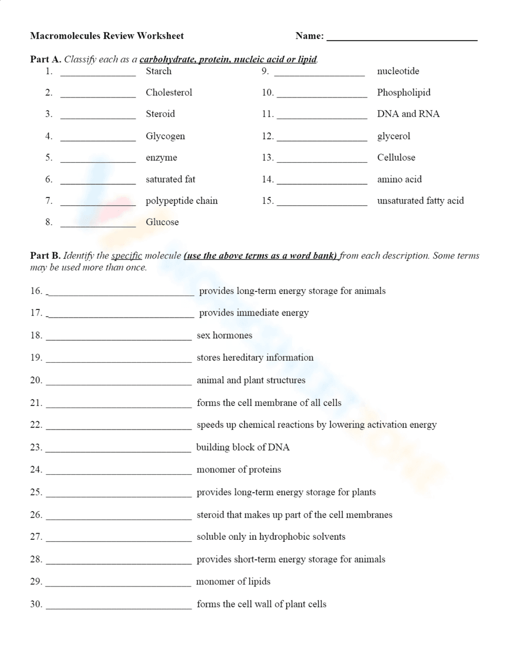 Comprehensive Macromolecule Review Worksheet for Students - Page 1