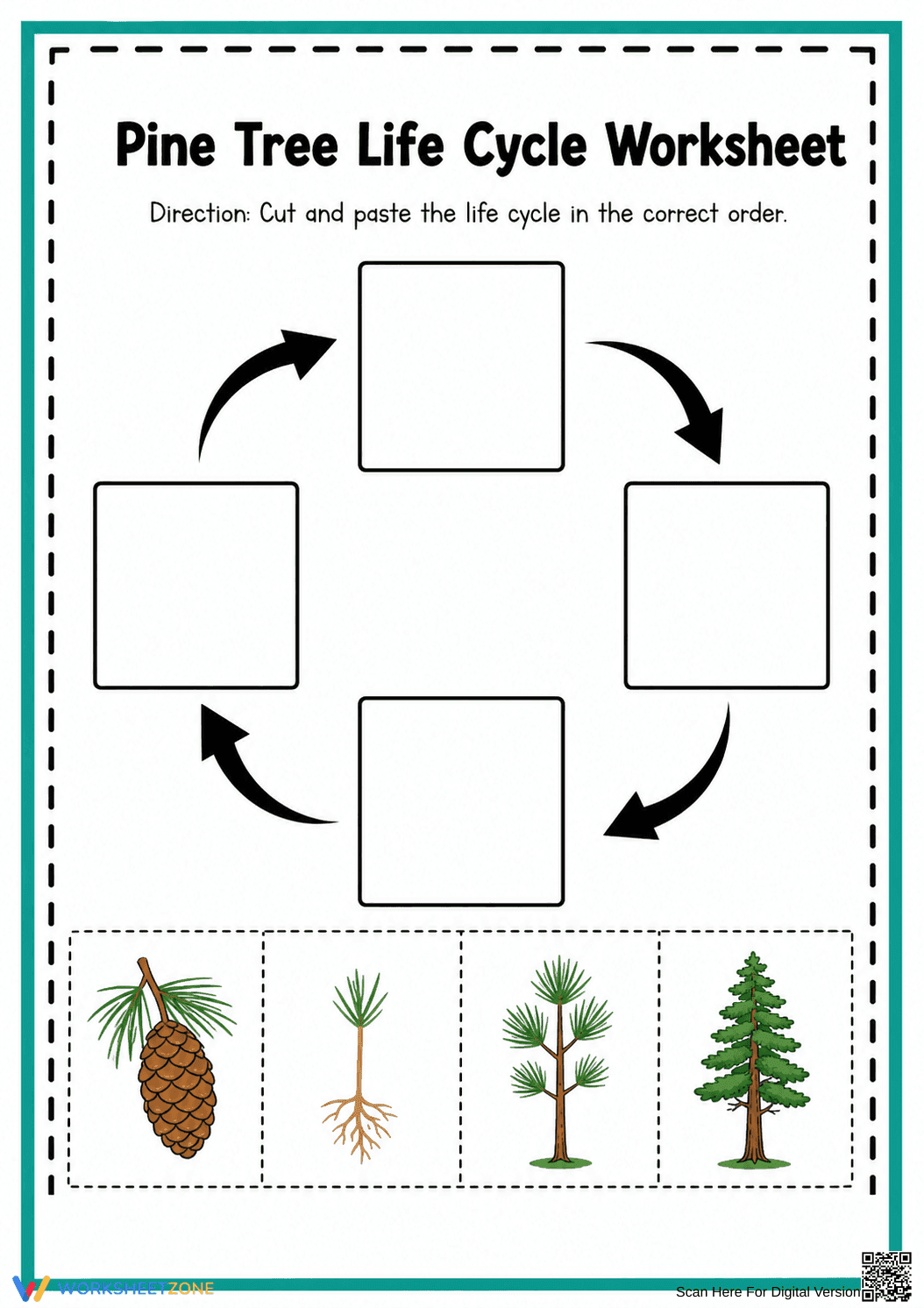 Printable Pine Tree Life Cycle Worksheet | Grade 1 Science - Page 1