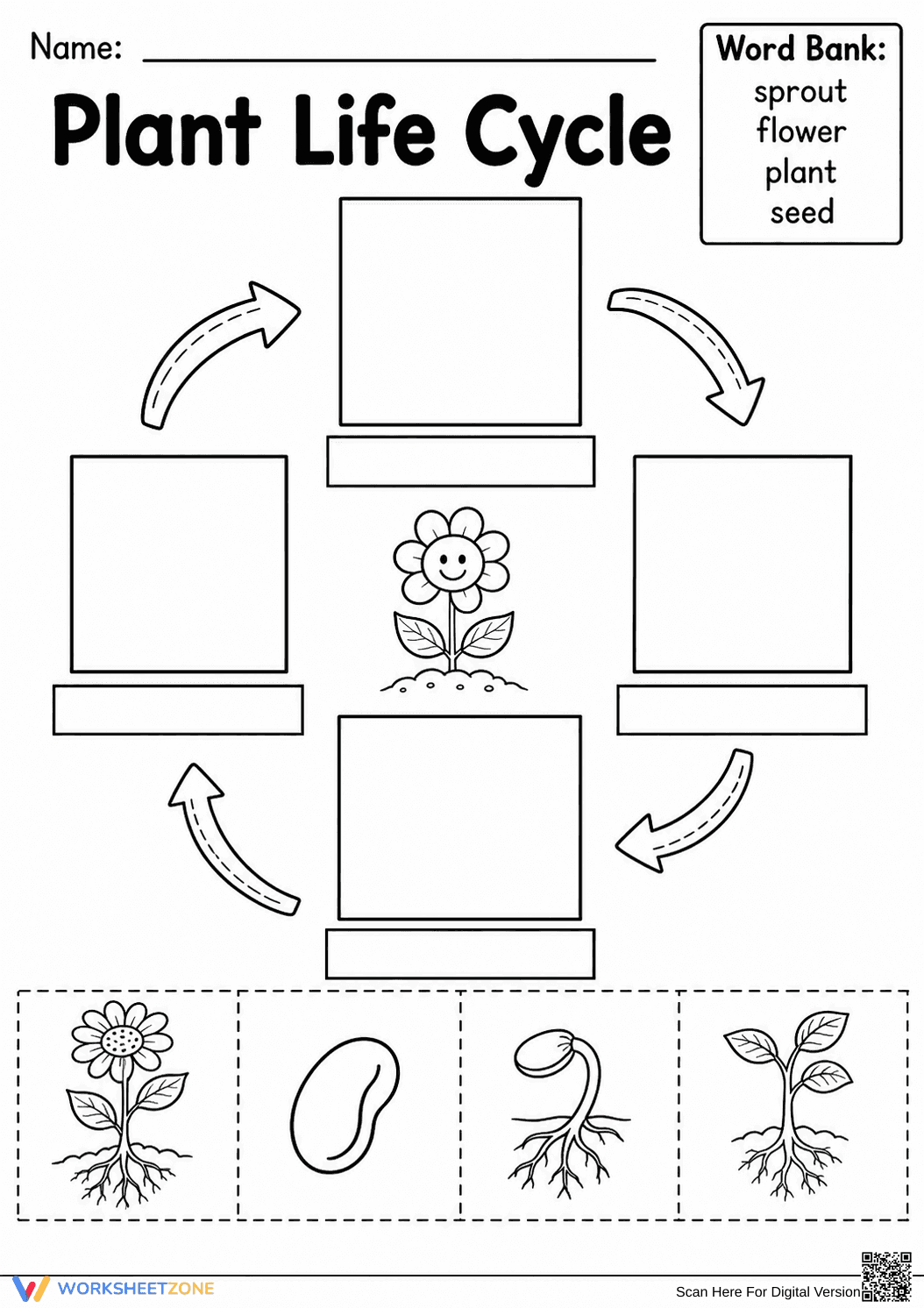 Plant Life Cycle Worksheet | Essential Grade 1-3 Science - Page 1