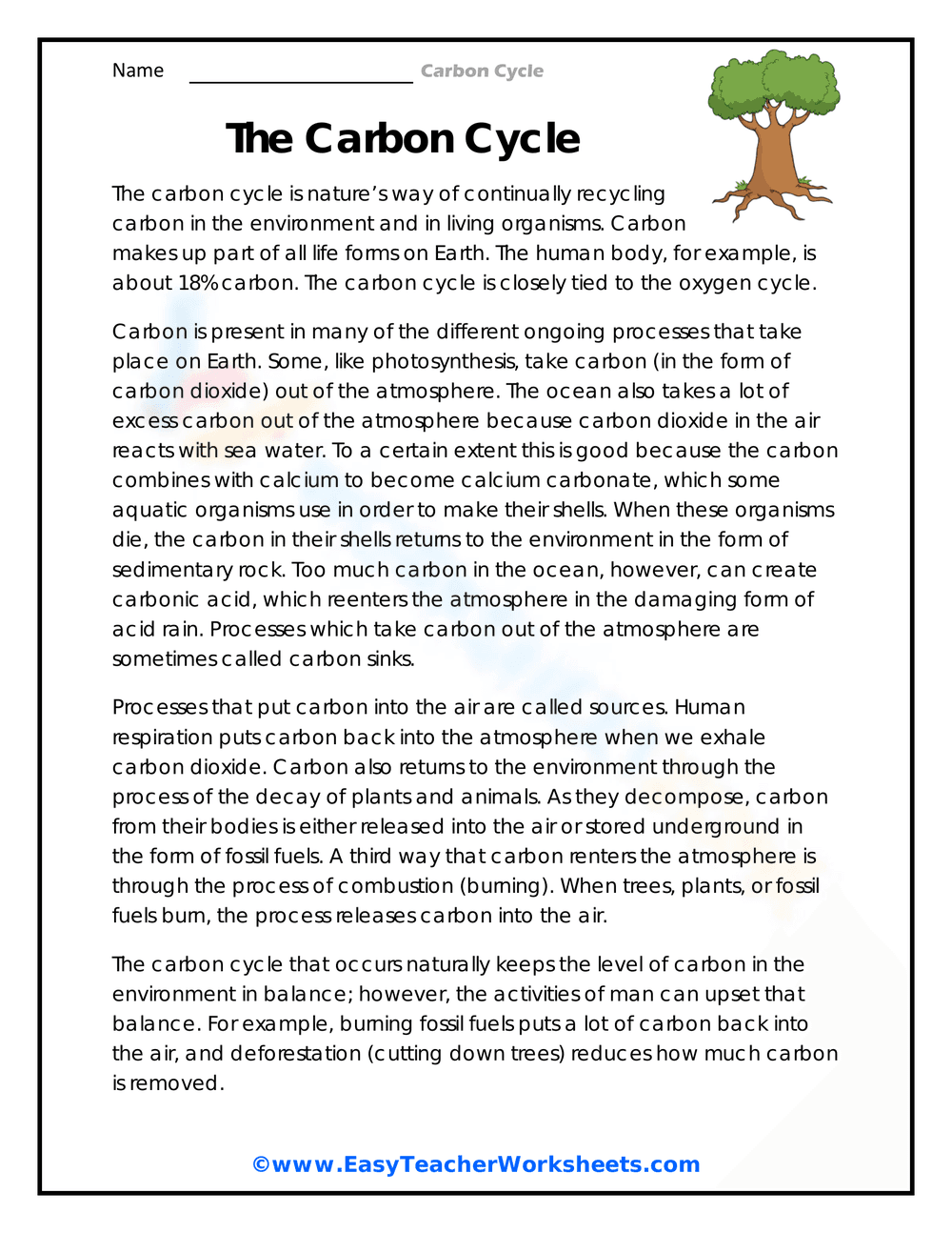 Reading Comprehension: The Carbon Cycle Explained - Page 1