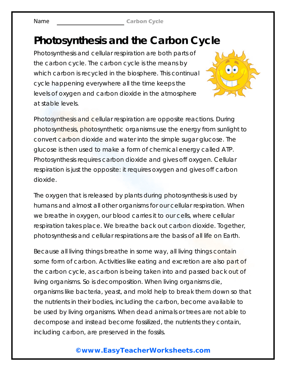 Photosynthesis and the Carbon Cycle Worksheet - Page 1