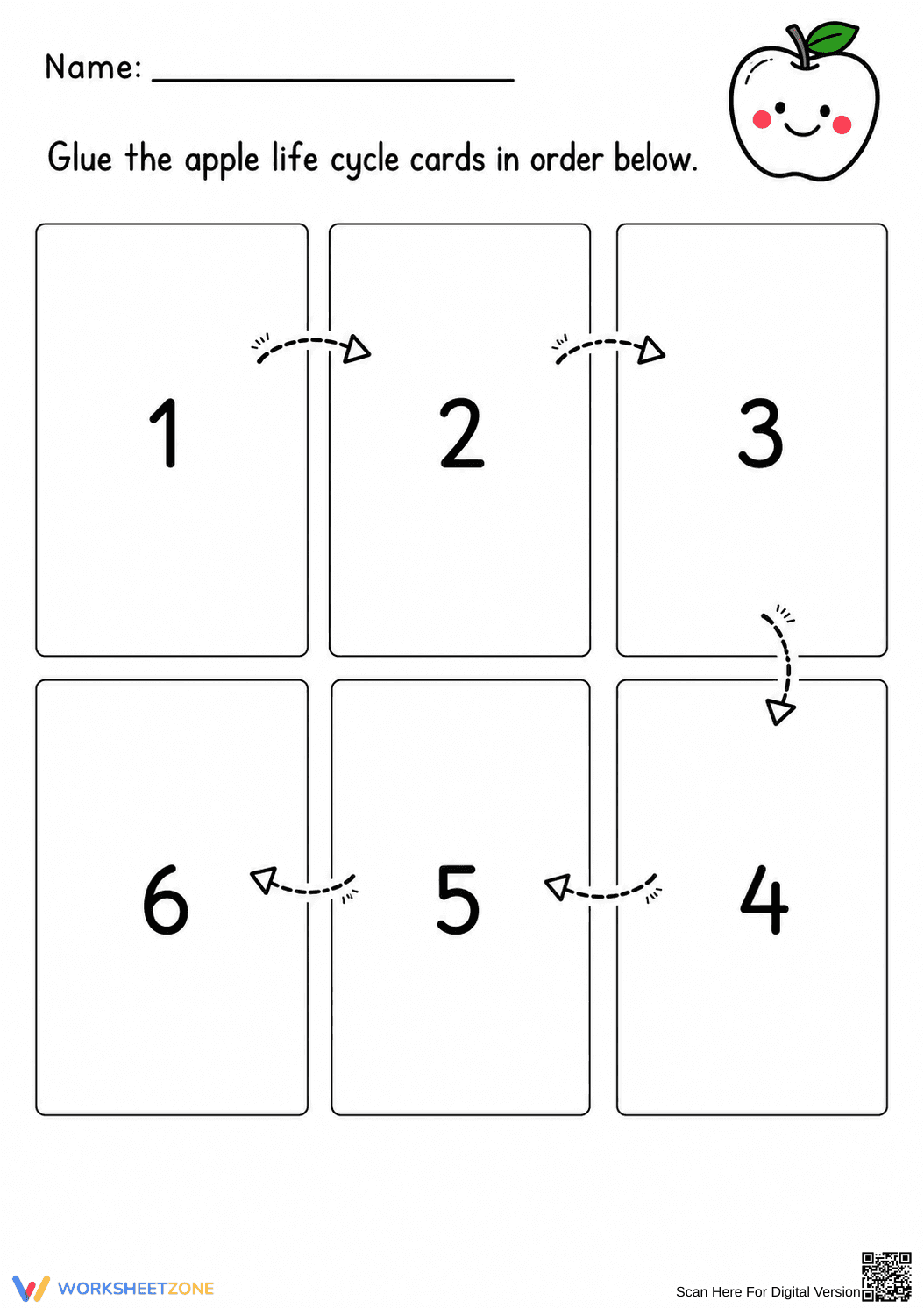 Apple Life Cycle Sequencing | Grade 1 Ready - Page 1