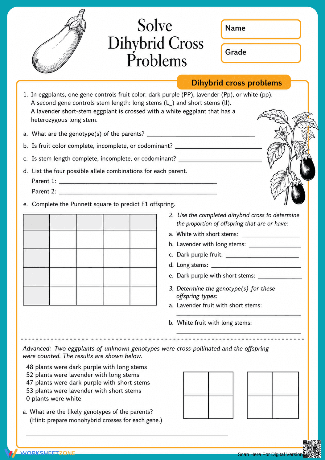 Dihybrid Cross Practice Worksheet | Essential Grade 9-11 - Page 1