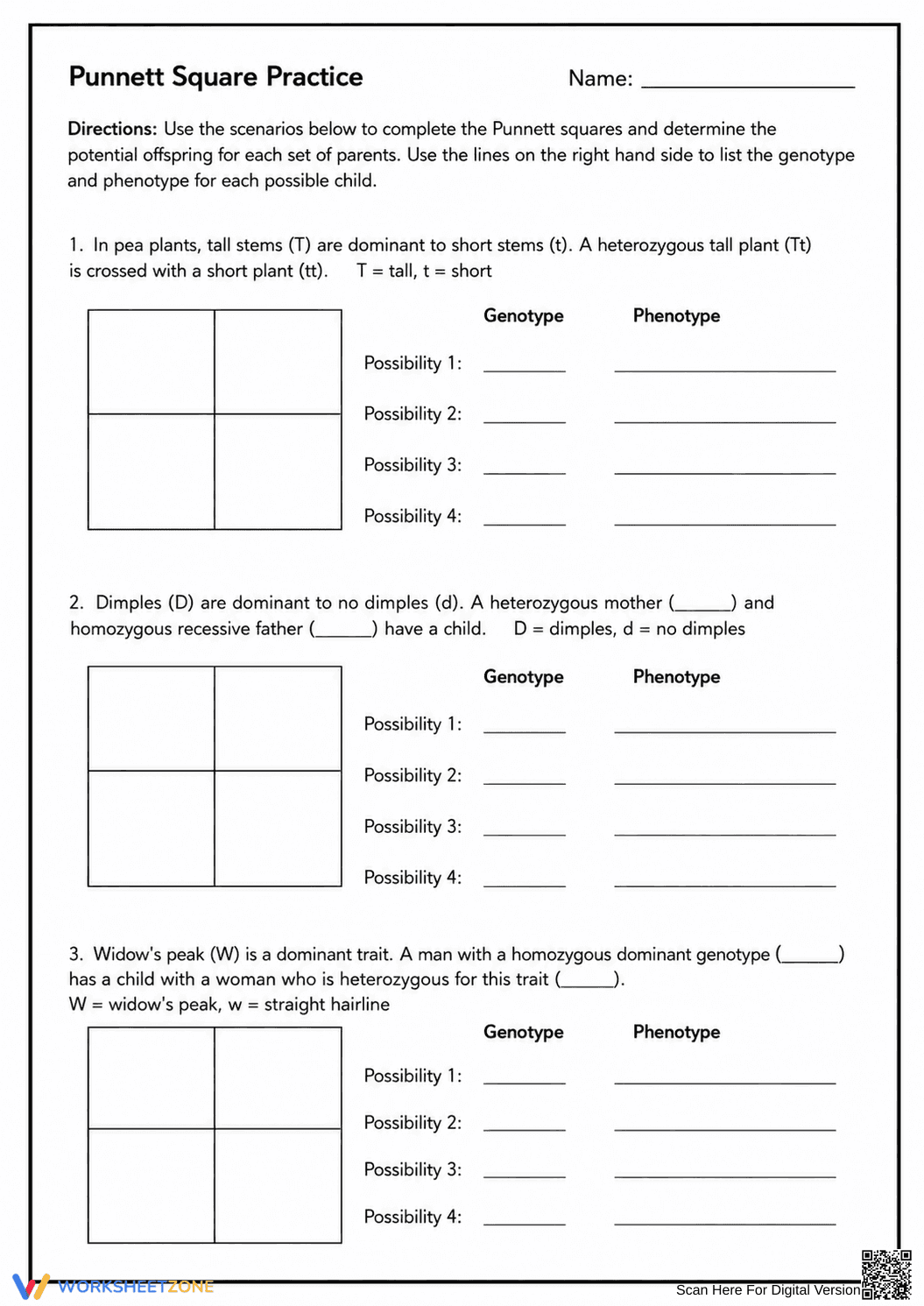 Punnett Square Practice Worksheet | Grade 9-11 Ready - Page 1