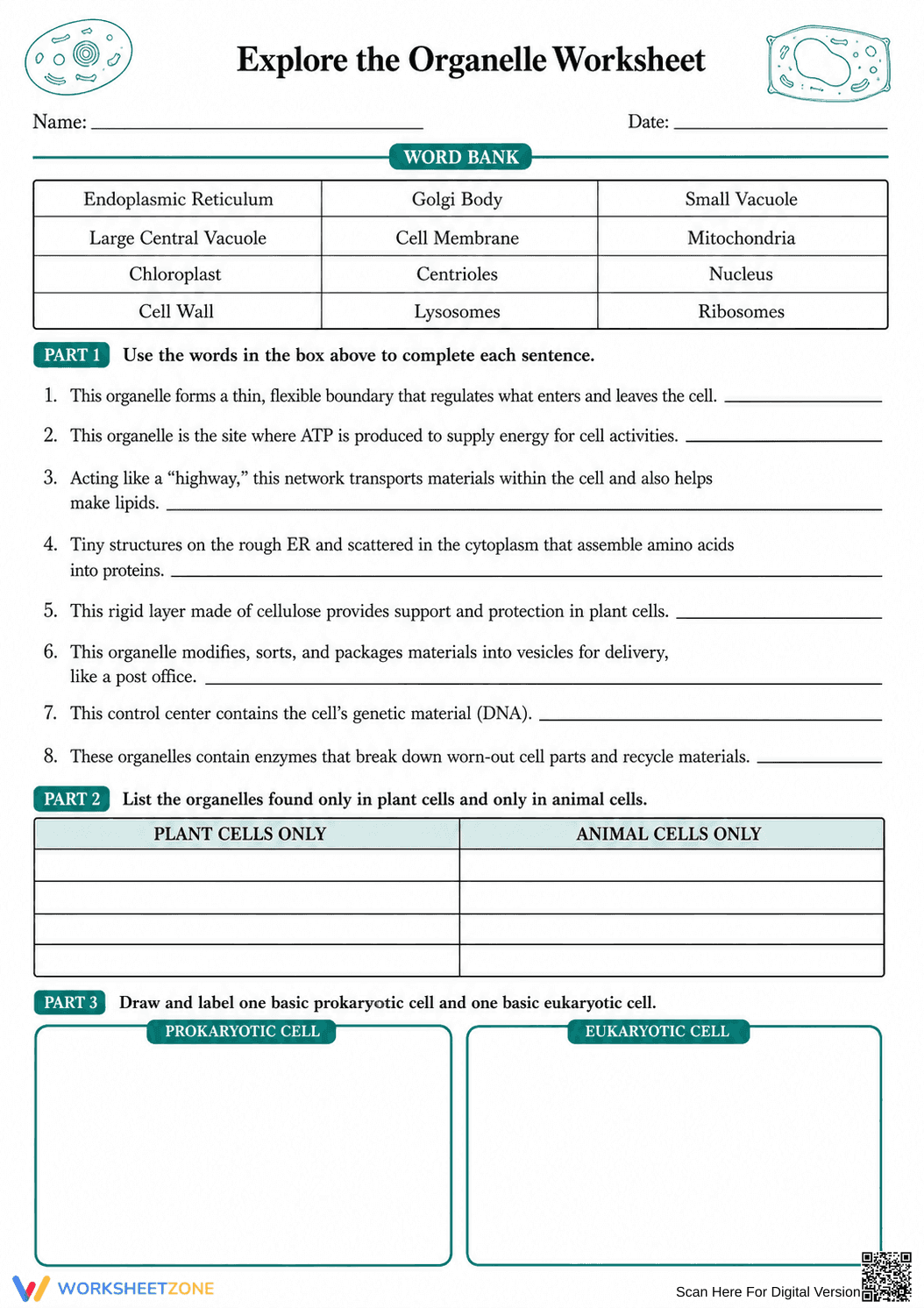 Essential Cell Organelle Worksheet | Grade 8-10 Science - Page 1