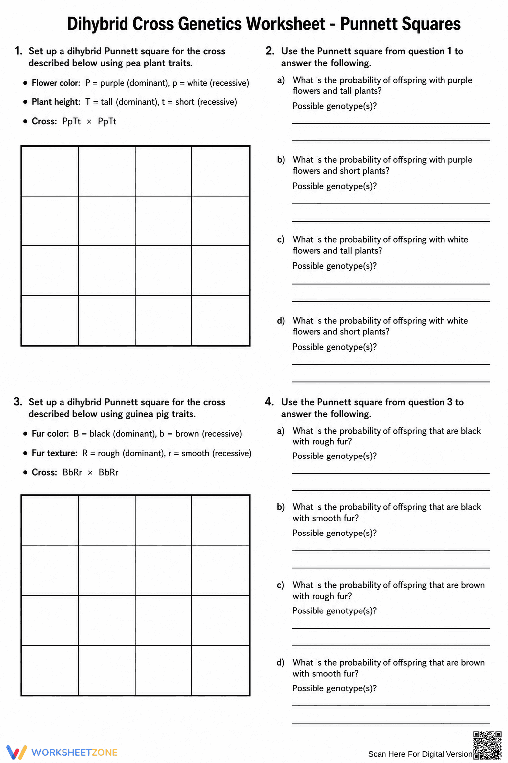 Essential Dihybrid Cross Worksheet | Grade 9-11 Biology - Page 1