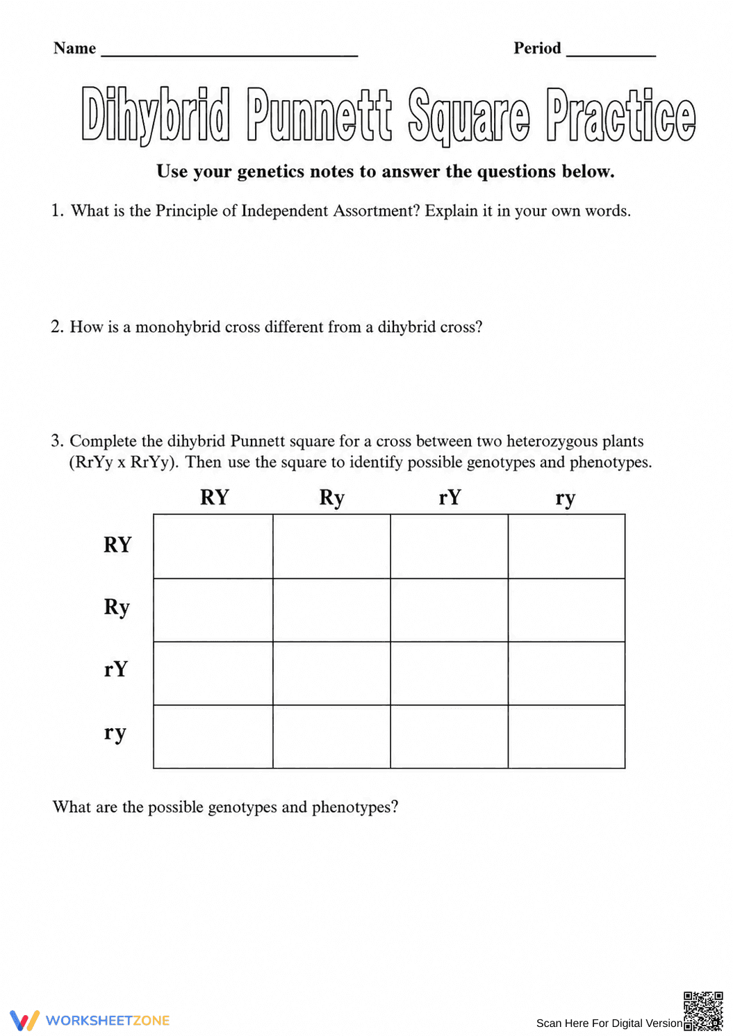 Printable Dihybrid Cross Worksheet | Grade 9-11 Biology - Page 1
