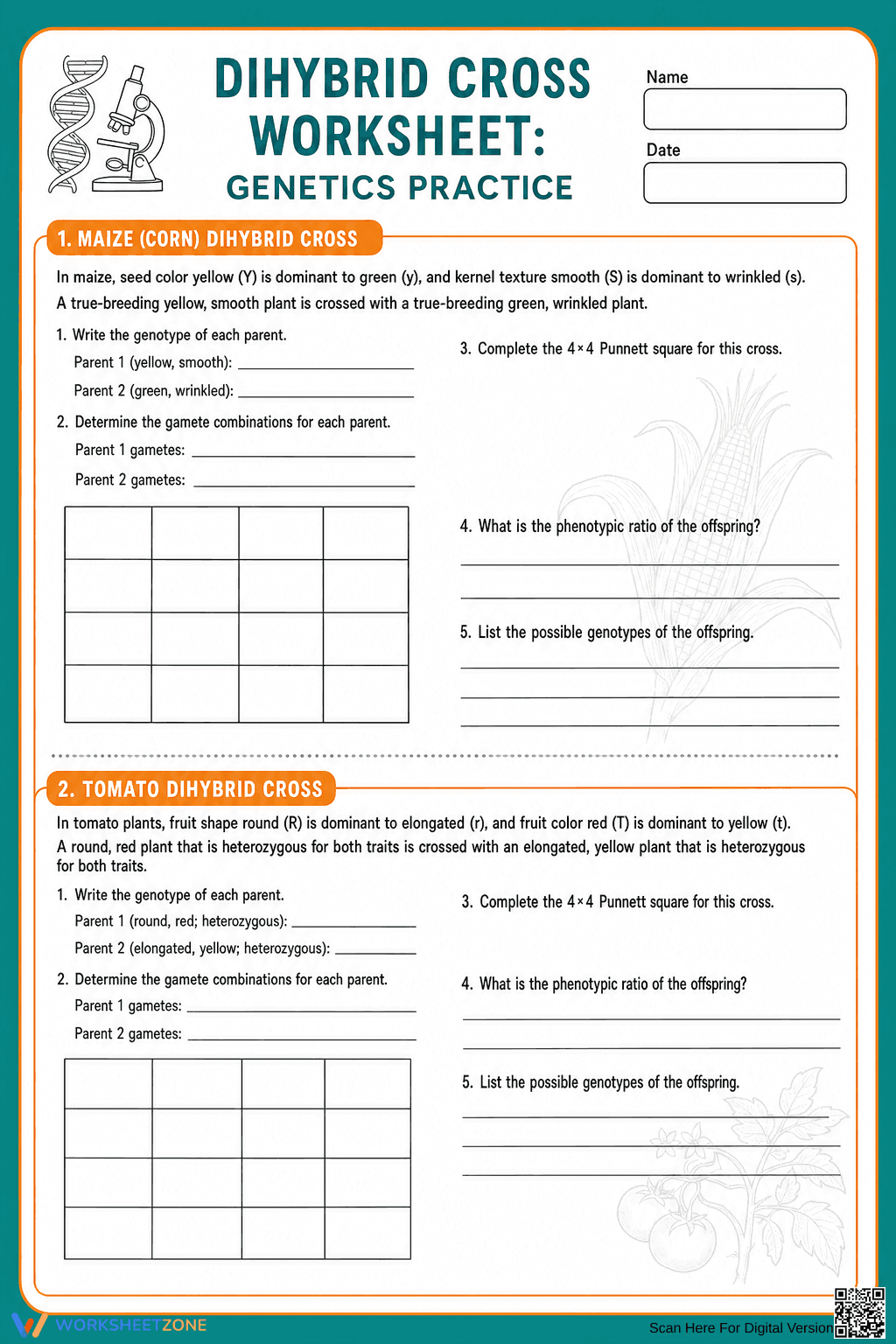 Essential Dihybrid Cross Practice | Grade 9-11 Biology - Page 1