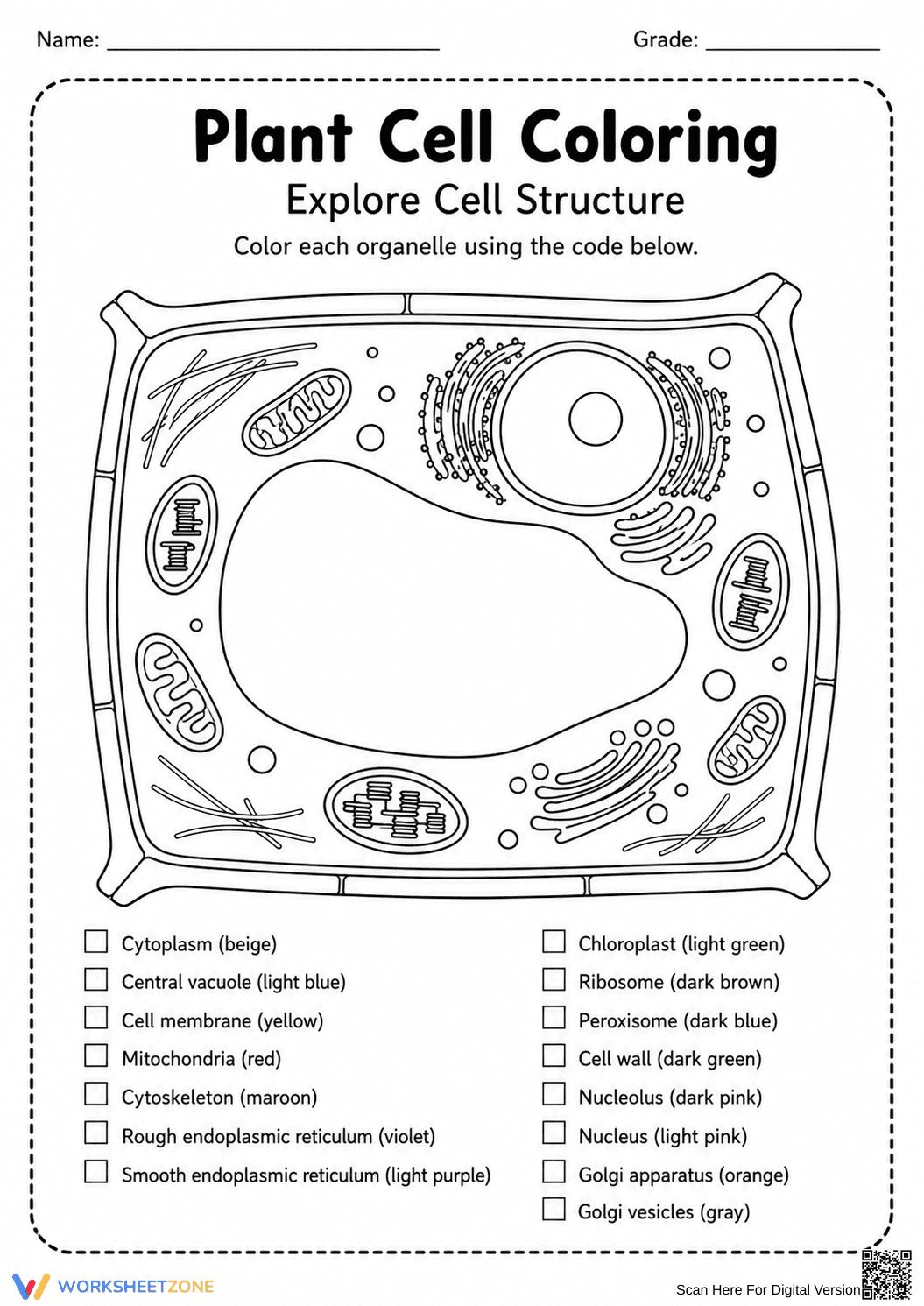 Essential Plant Cell Coloring Worksheet | Grade 8-10 - Page 1