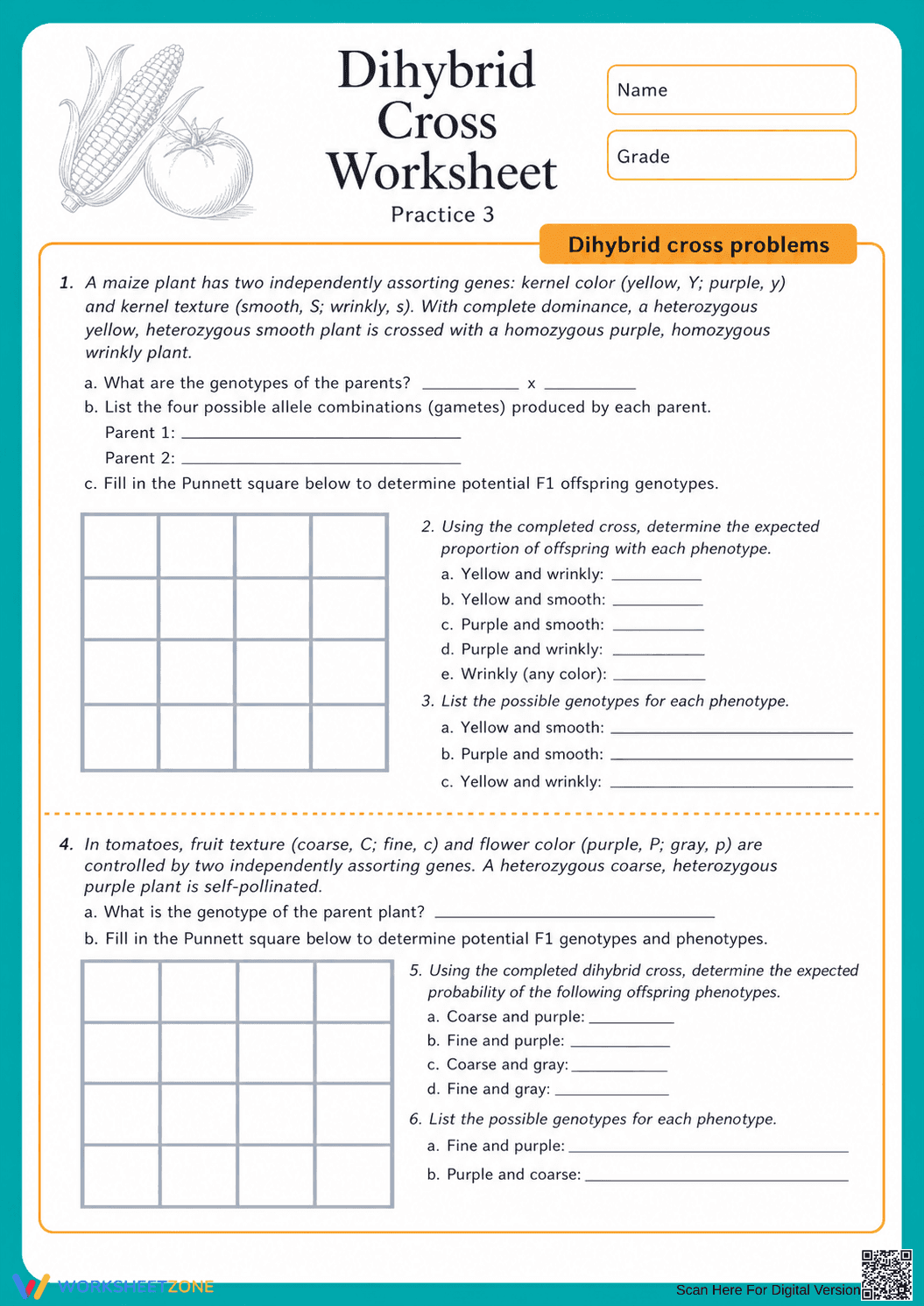 Printable Dihybrid Cross Worksheet | Grades 9-11 Biology - Page 1