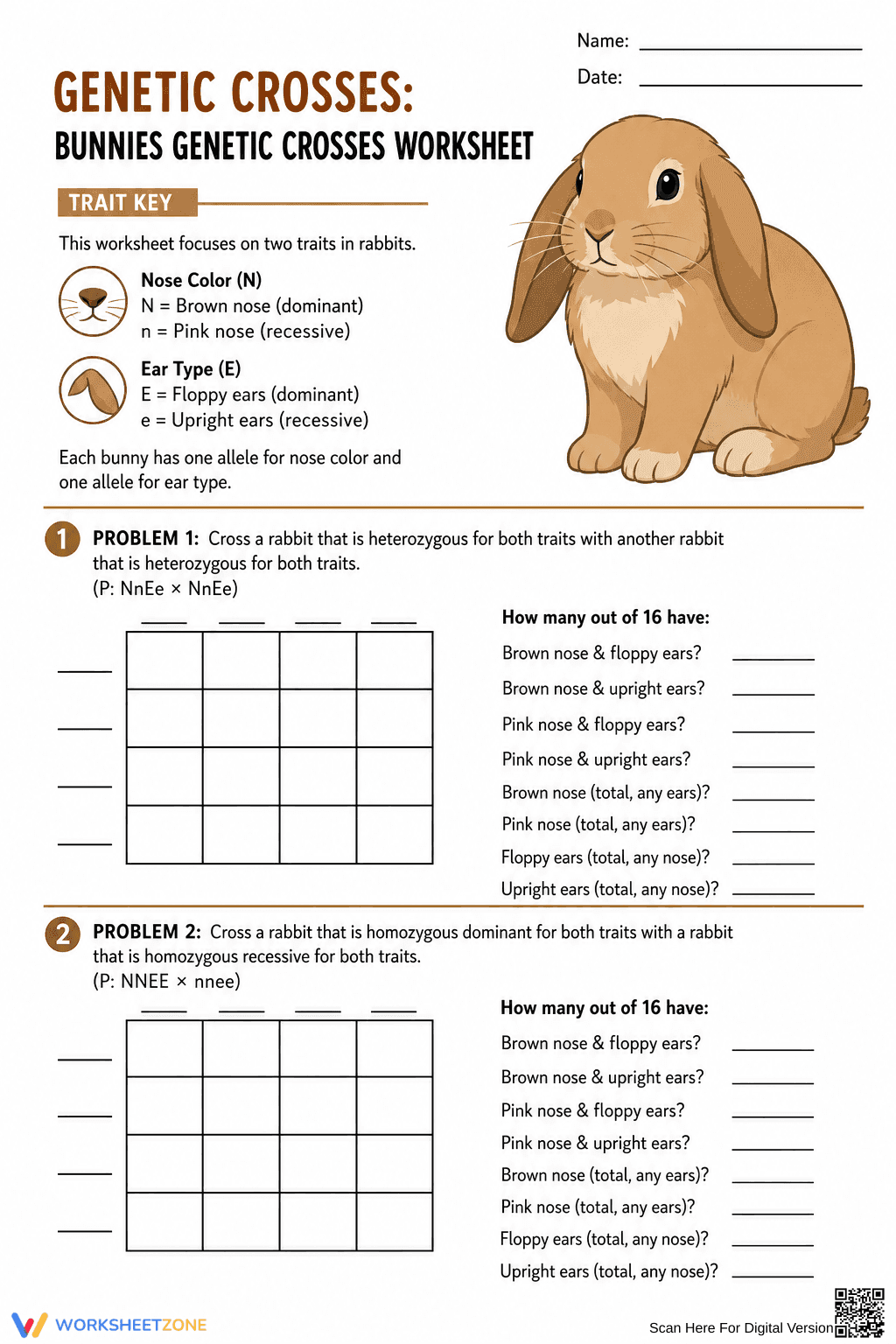 Printable Dihybrid Cross Worksheet | High School Biology - Page 1