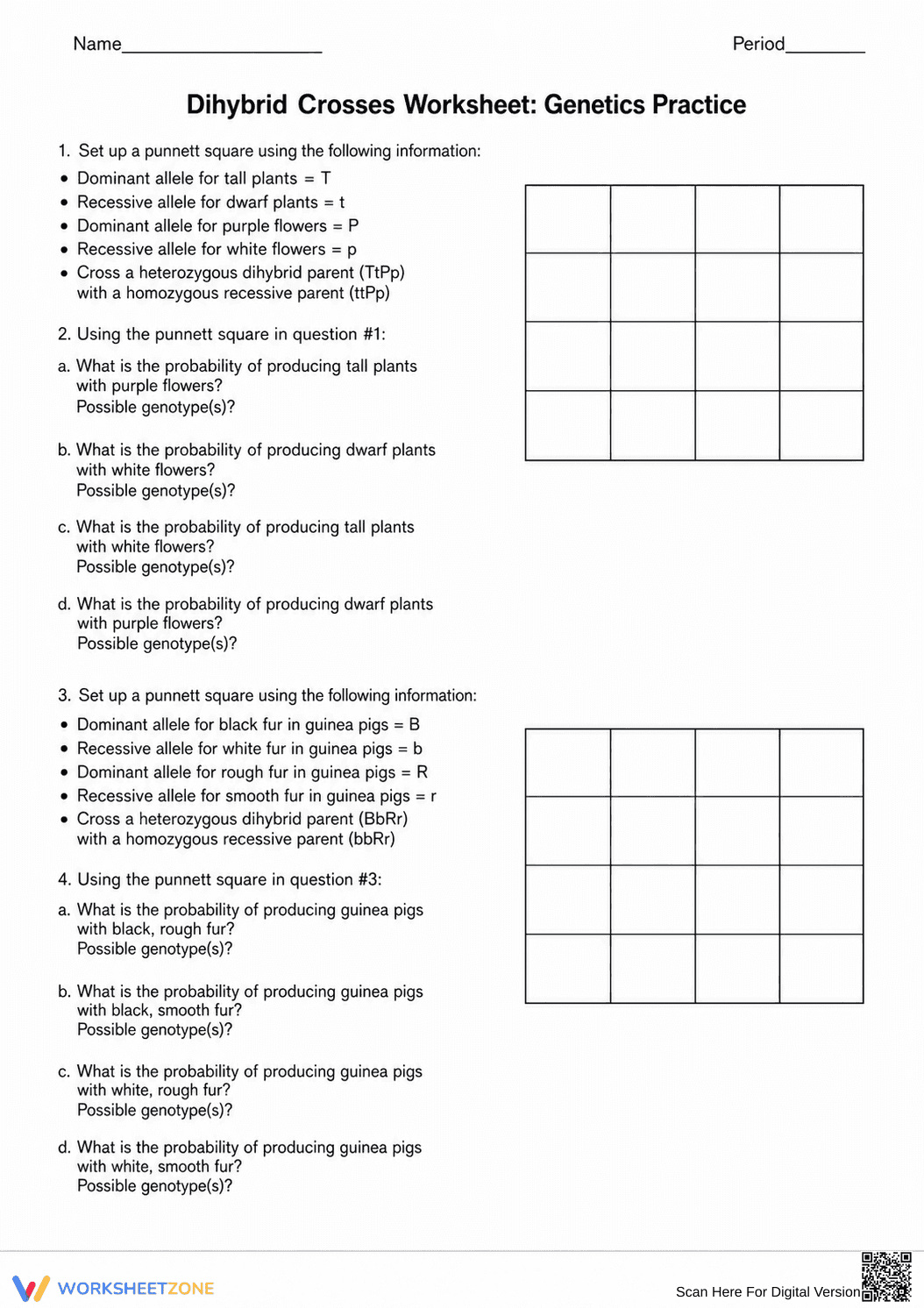 Printable Dihybrid Crosses Worksheet | Grade 9-11 Biology - Page 1
