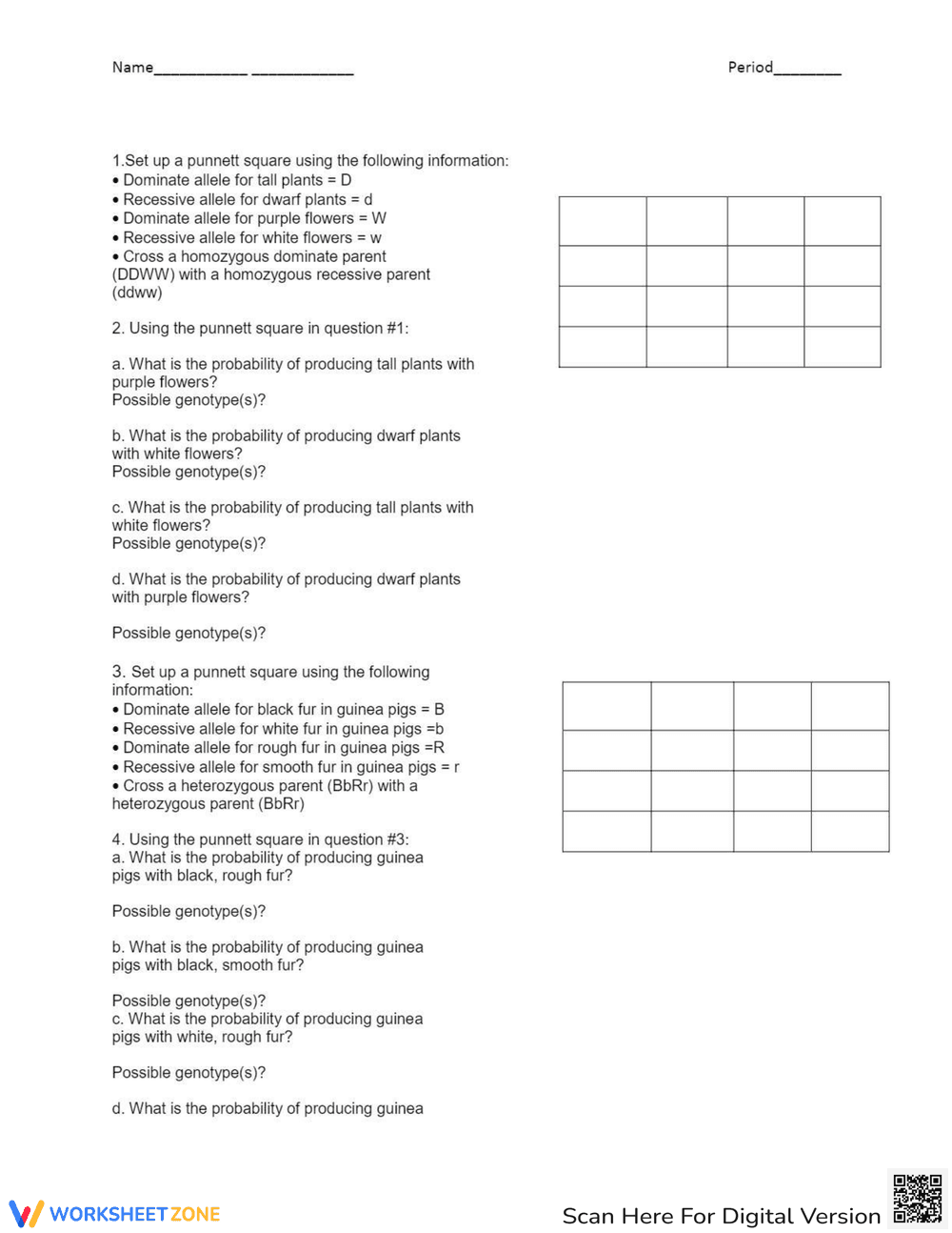 Dihybrid Crosses Worksheet: Genetics Practice - Page 1