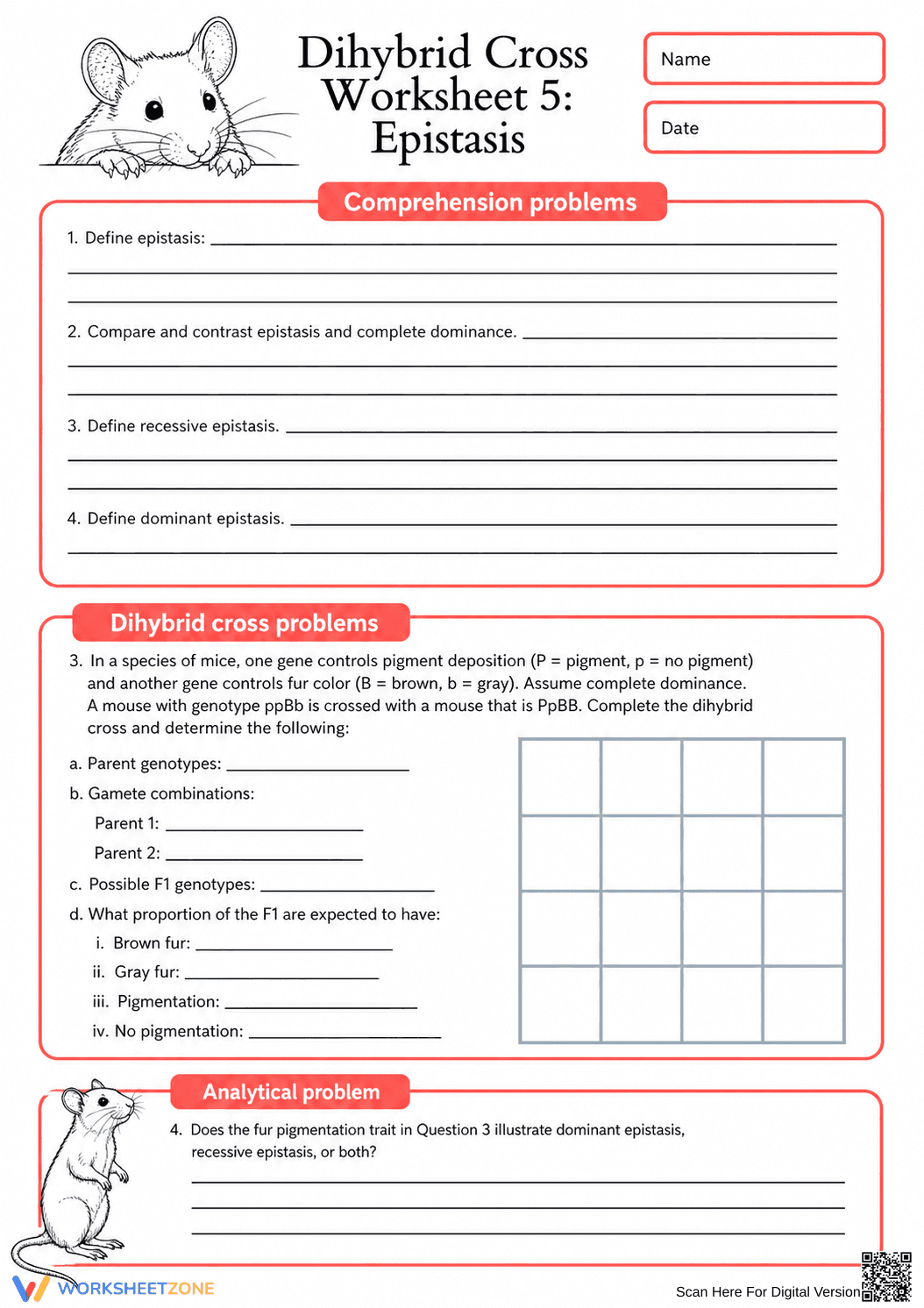 Essential Dihybrid Cross & Epistasis Worksheet | Grade 10-11 - Page 1