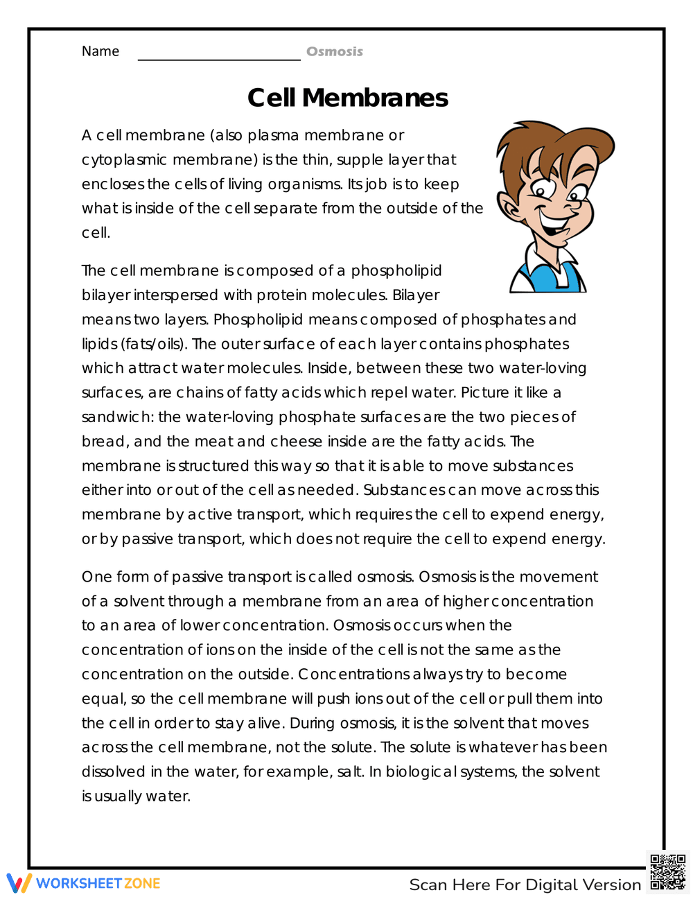 Cell Membranes Worksheet for Biology Students - Page 1