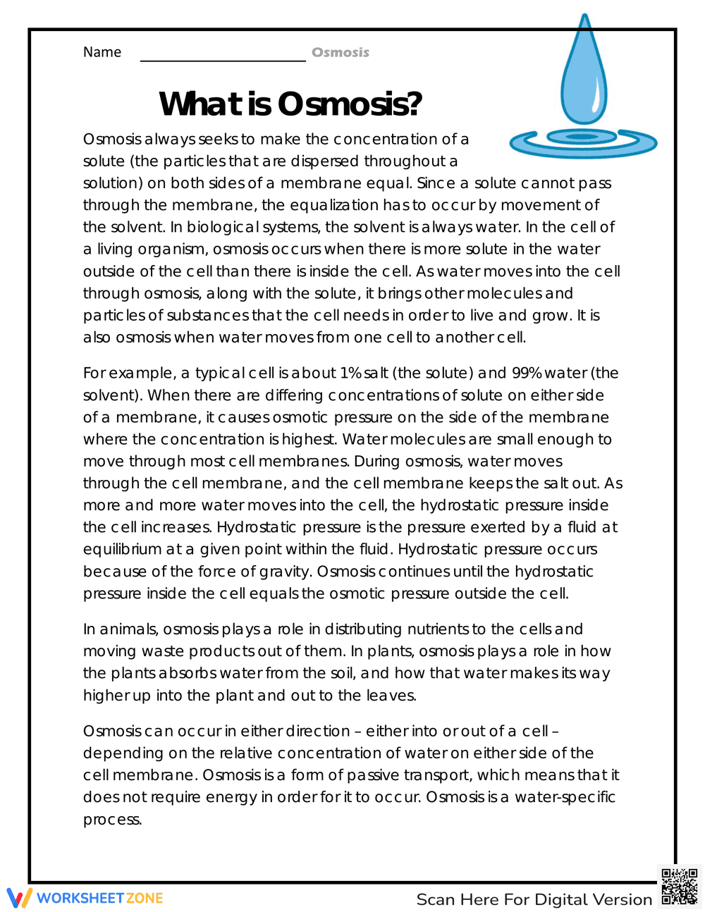 What is Osmosis Worksheet: Understand the Concept - Page 1