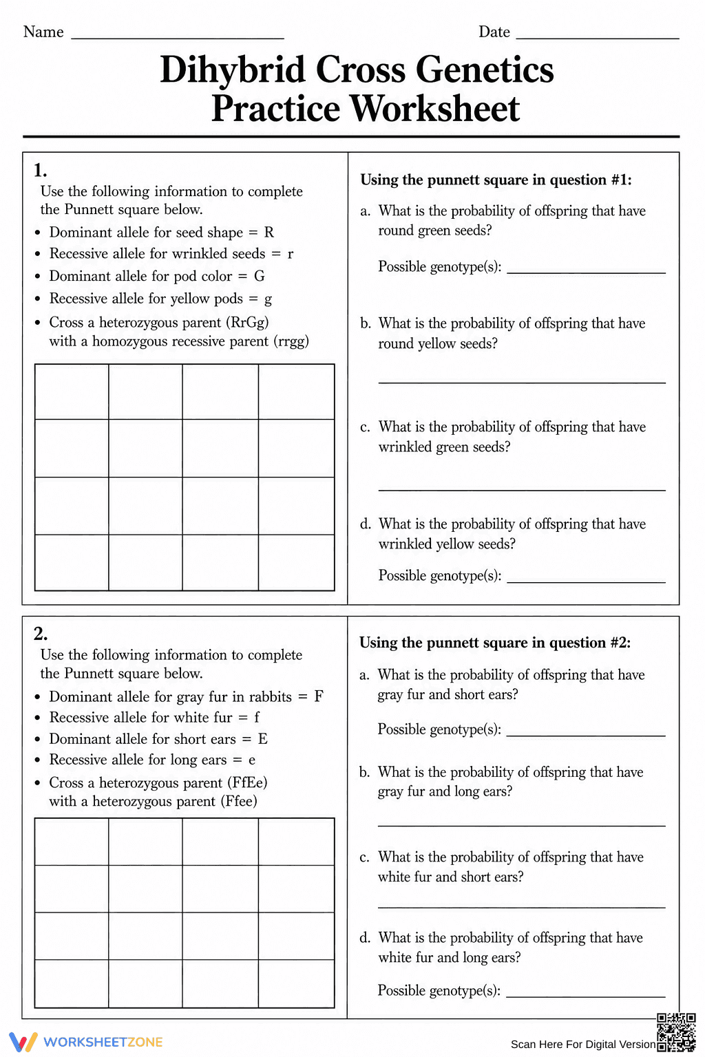 Dihybrid Cross Genetics Worksheet | Grade 9-11 Printable - Page 1