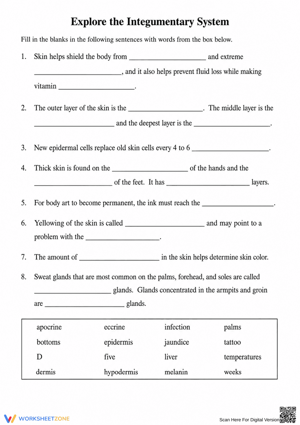 Essential Integumentary System Worksheet | Grade 7 Science - Page 1