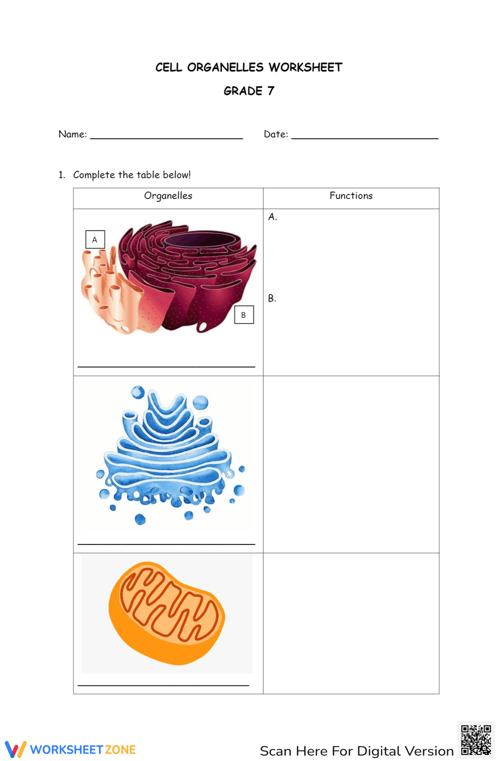 Cell Organelles Worksheet for Grade 7 - Page 1