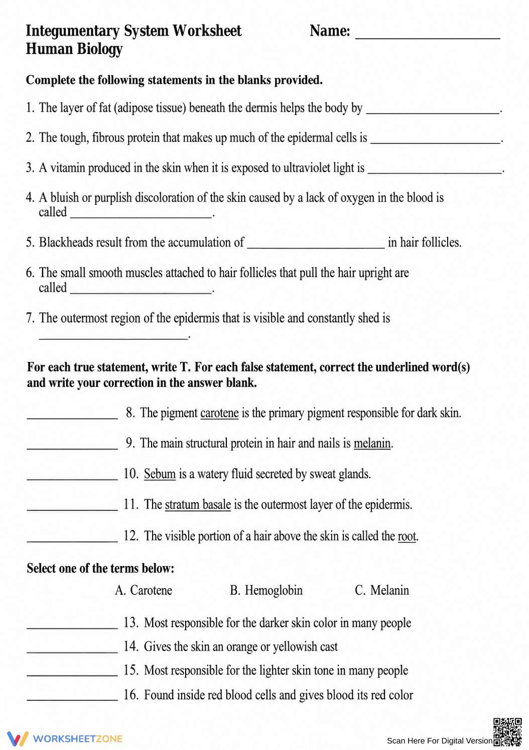 Essential Integumentary System Worksheet | Grade 7 Science - Page 1