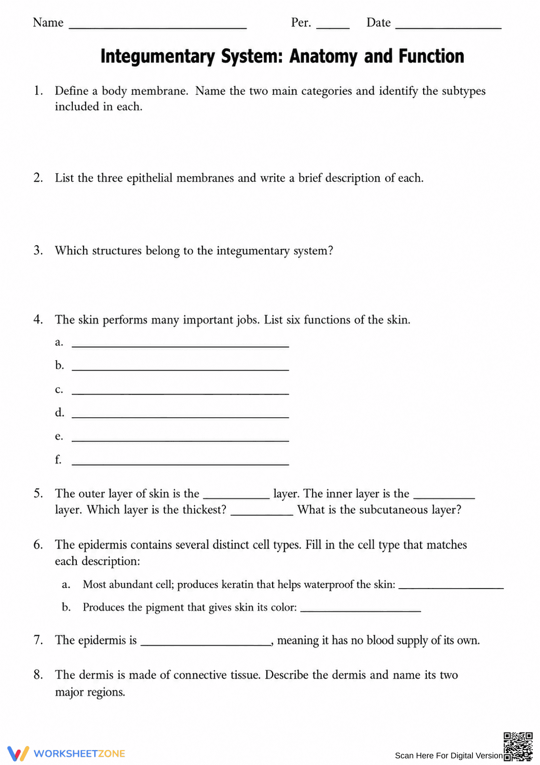 Grade 7 Integumentary System — Printable No-Prep Worksheet - Page 1