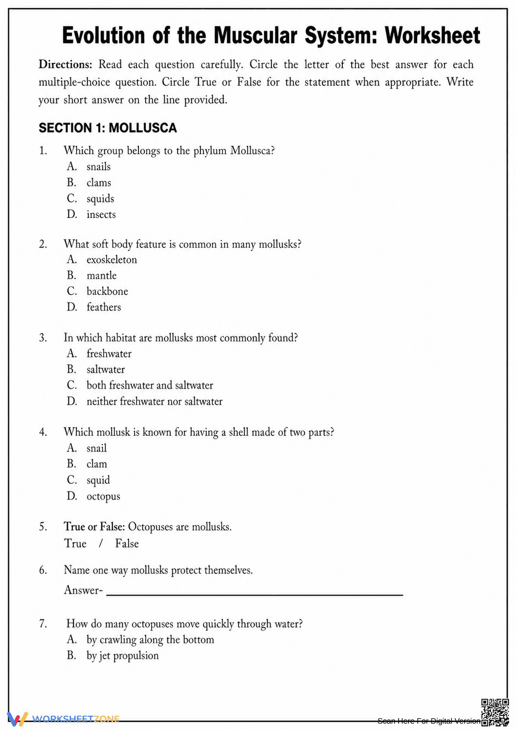 Printable Muscular System Evolution Worksheet | Grade 8-10 - Page 1