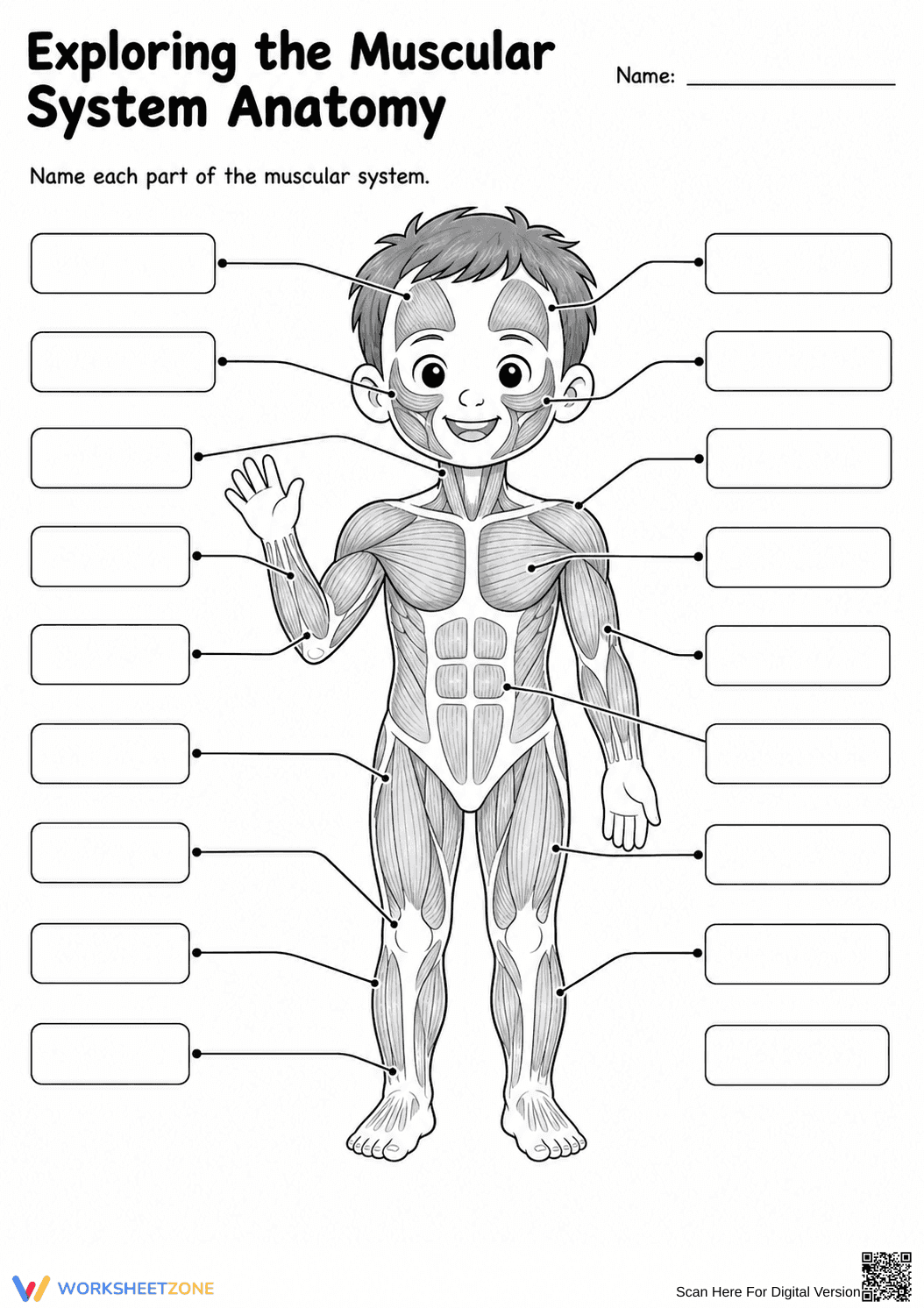 Grade 4 Muscular System — Printable No-Prep Worksheet - Page 1