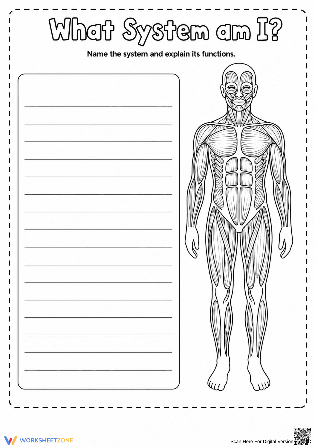 Muscular System Worksheet | Grade 5-8 Essential - Page 1