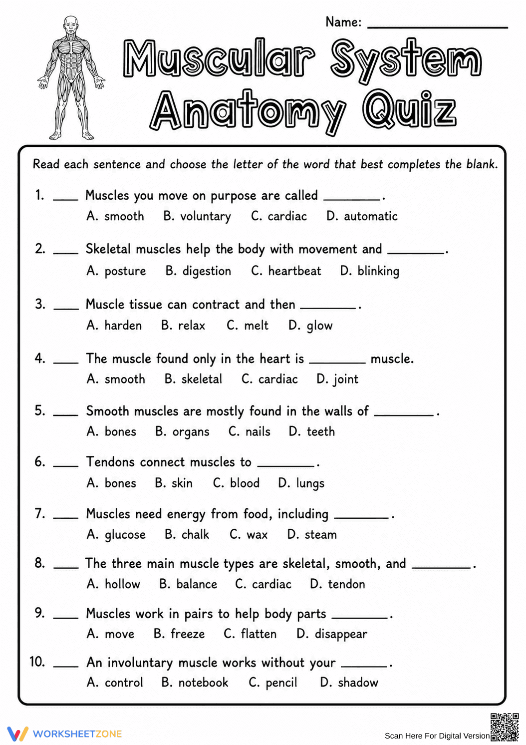Muscular System Anatomy Quiz | Essential Grade 6-8 Science - Page 1