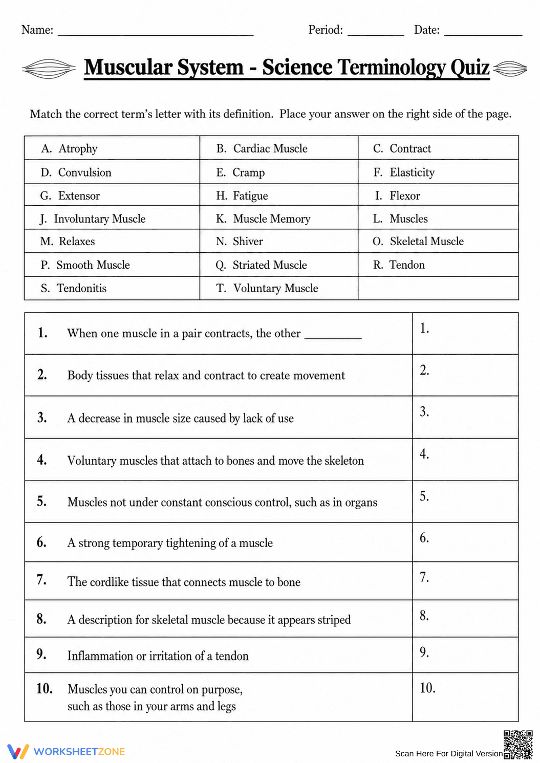 Grade 7 Muscular System — Printable No-Prep Worksheet - Page 1