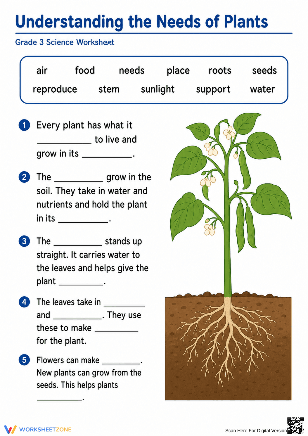 Needs of Plants | Essential Grade 3 Science - Page 1