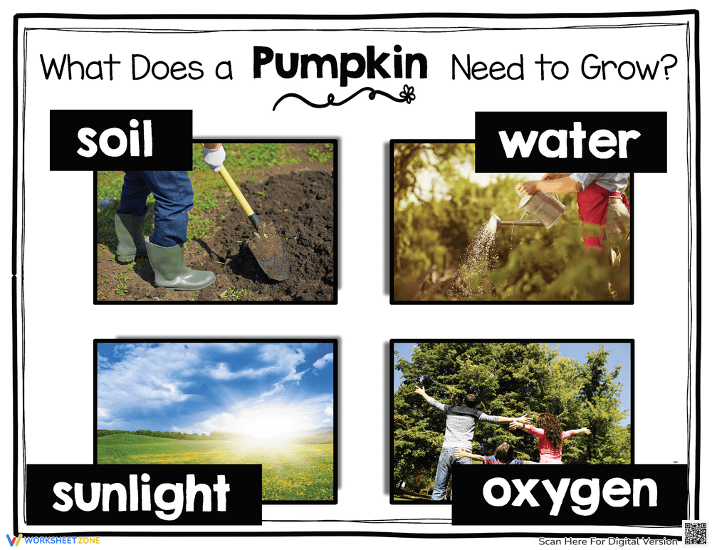 Pumpkin Growth Needs Worksheet | Grade 3-8 Essential - Page 1
