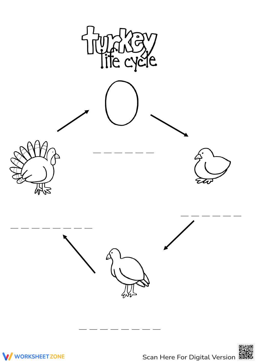 Turkey Life Cycle Worksheet | Essential Grade 3-5 Science - Page 1