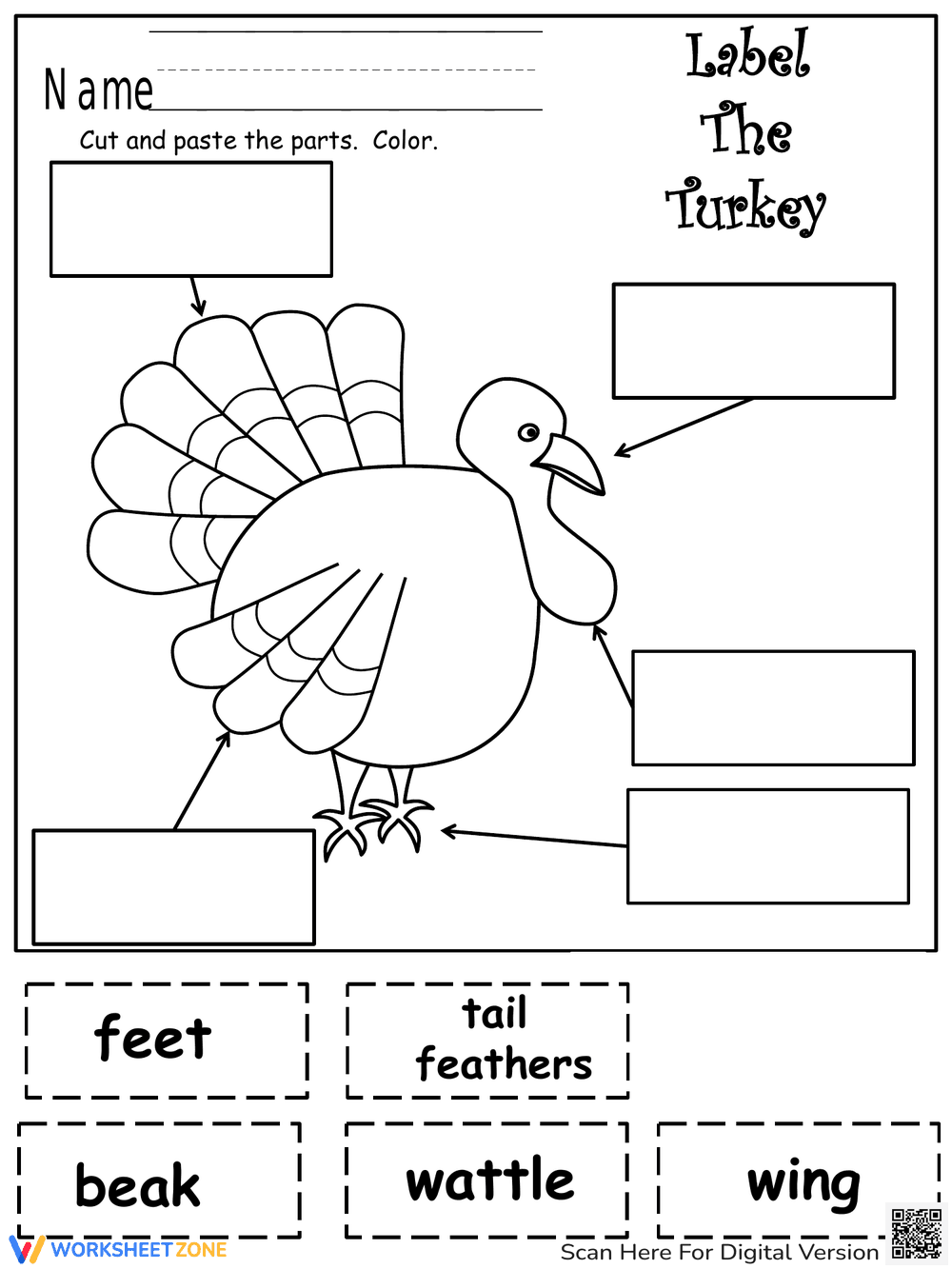Label The Turkey Parts Worksheet | Grade 3 Essential - Page 1