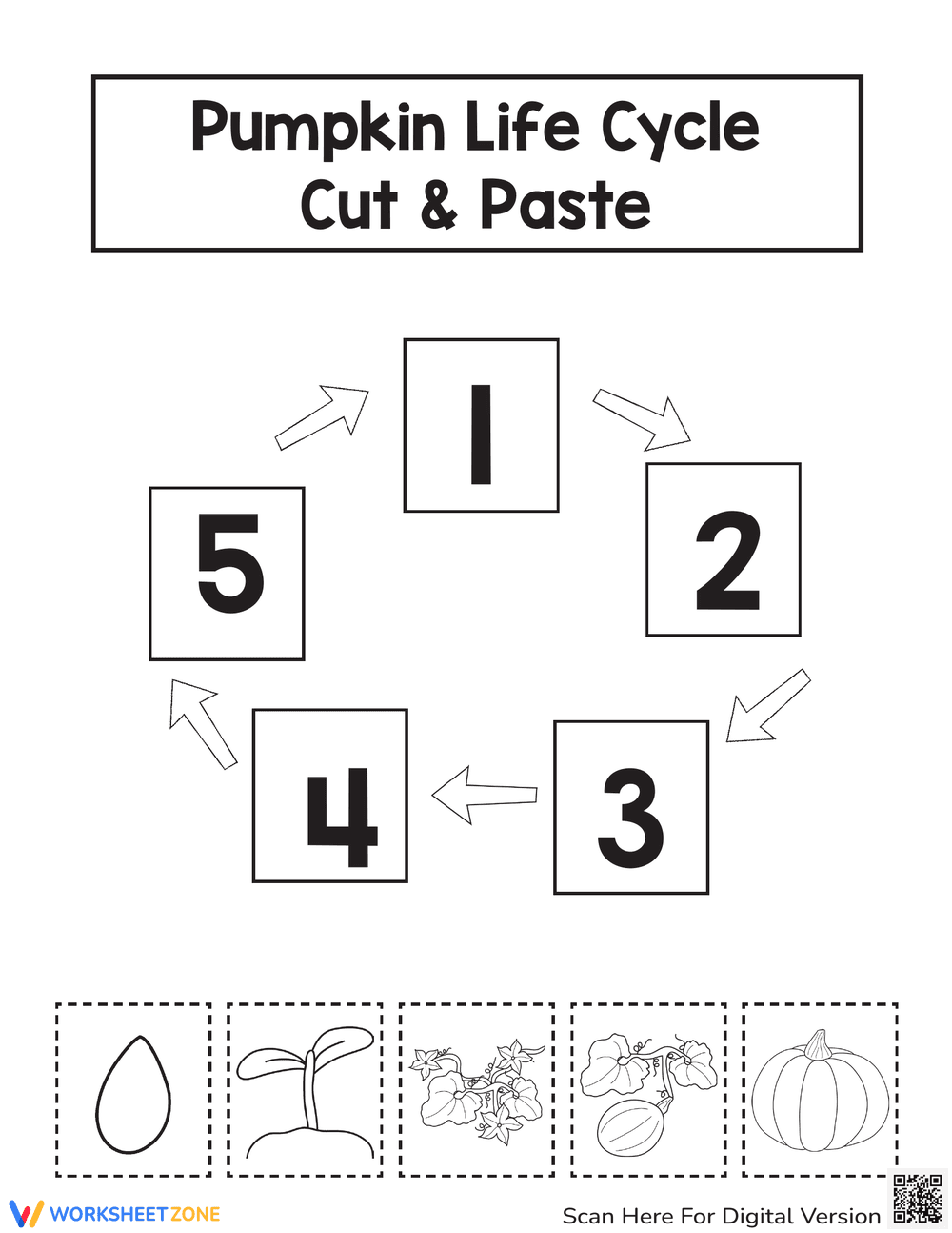 Pumpkin Life Cycle Printable Worksheet | Grade 3 Science - Page 1