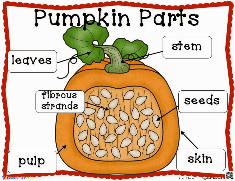 Pumpkin Parts Poster | Essential Grade 4 Science Guide - Page 1