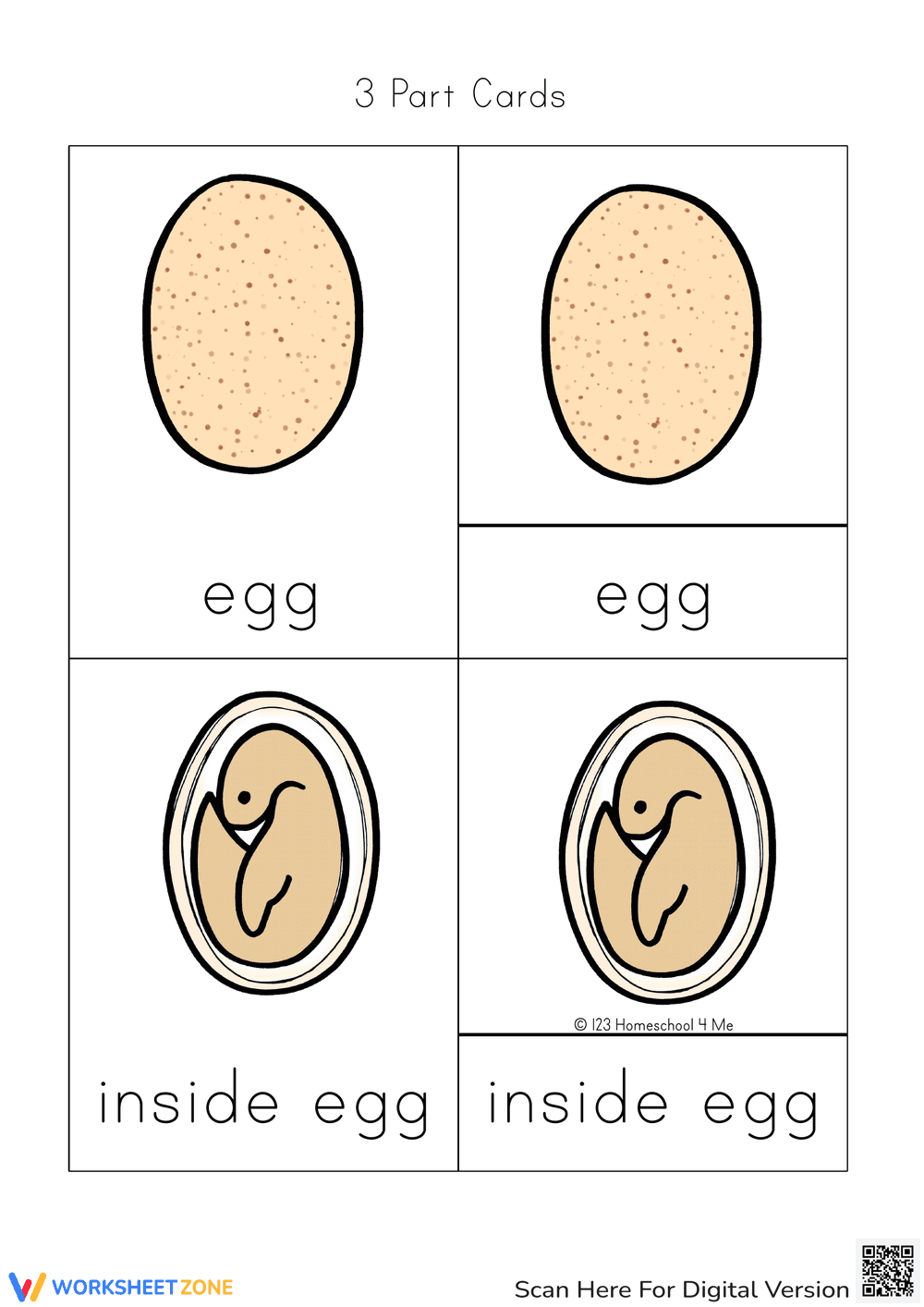 Turkey Life Cycle Science Cards | Grade 3 Essential - Page 1