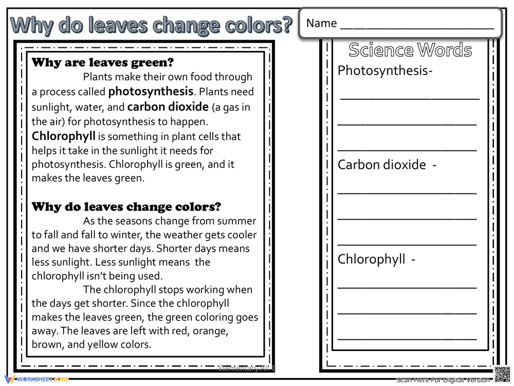 Why Do Leaves Change Colors? Printable Science Worksheet - Page 1