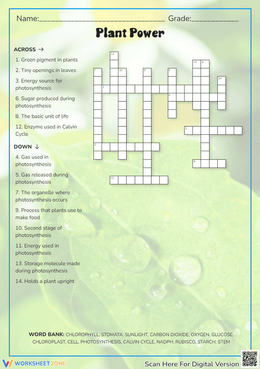 Plant Power Crossword: Photosynthesis & Plant Biology Puzzle - Page 1