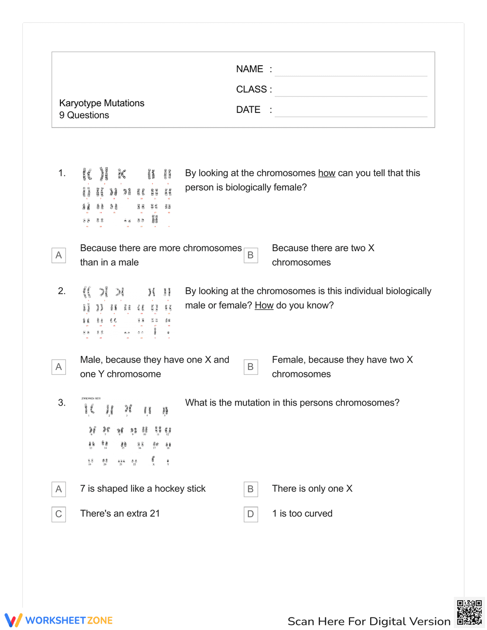 Karyotype Mutations Worksheet - Page 1