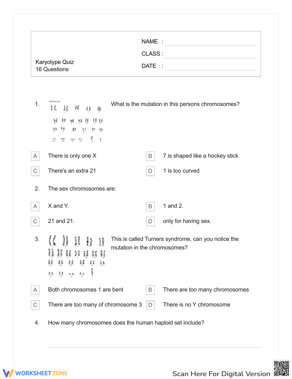 Karyotype Identification Skills - Page 1