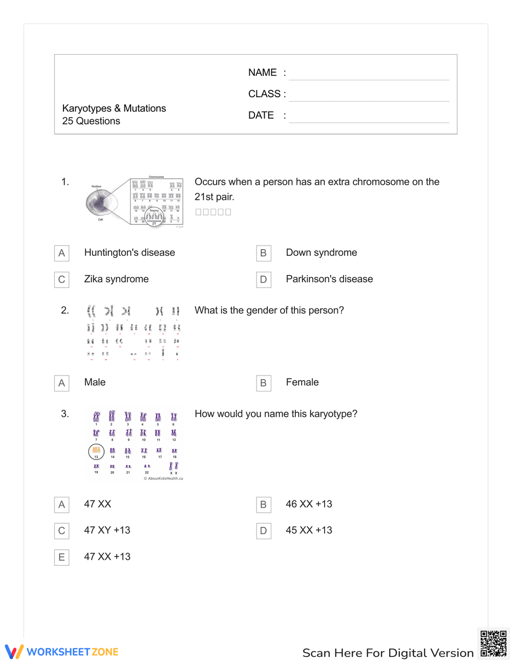 Explore Karyotypes and Mutations - Page 1