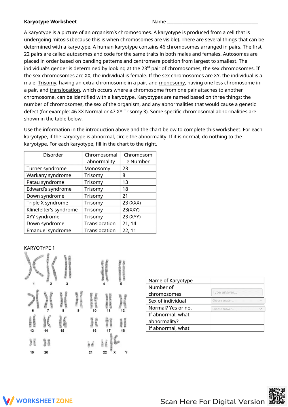 Karyotype Practice - Page 1